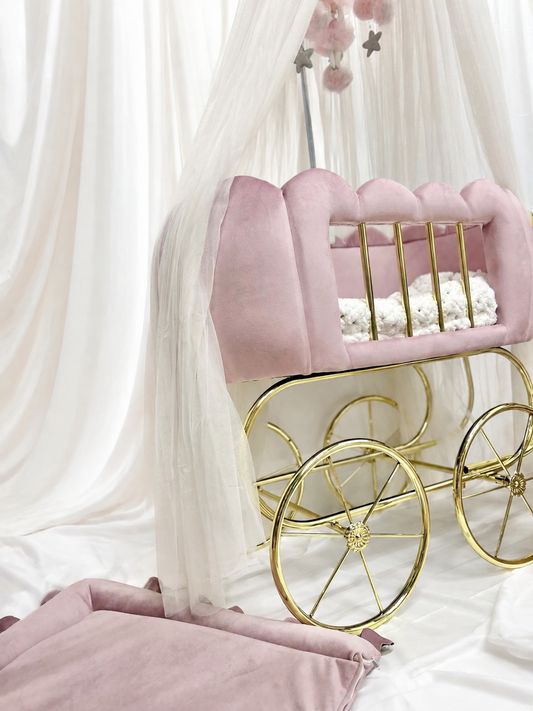 Carrosse Velour